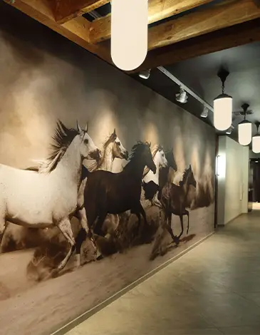 The Eight Steeds